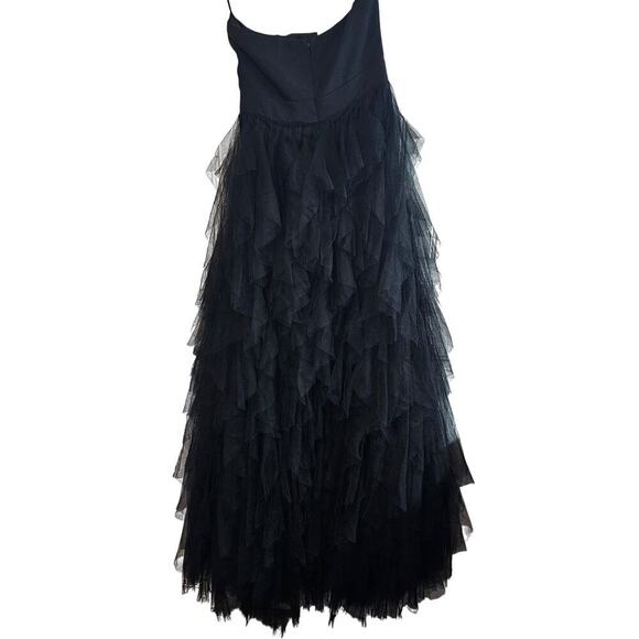 Blithe LA Tulle Formal Dress Womens Size Medium Black Sheer Full Prom Maxi Glam - Picture 2 of 12